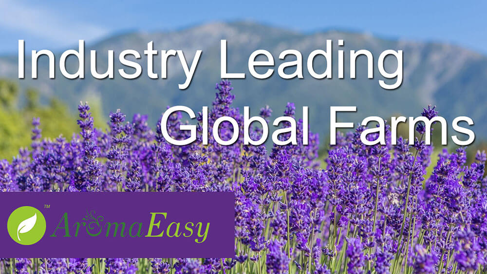 Global Farms-A
