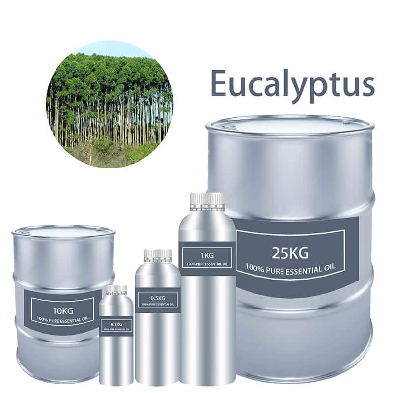 Eucalyptus Essential Oil Essential Oils bulk wholesale Pure supplier distribution factory manufacturer for sale Cheap buy where to buy near me
