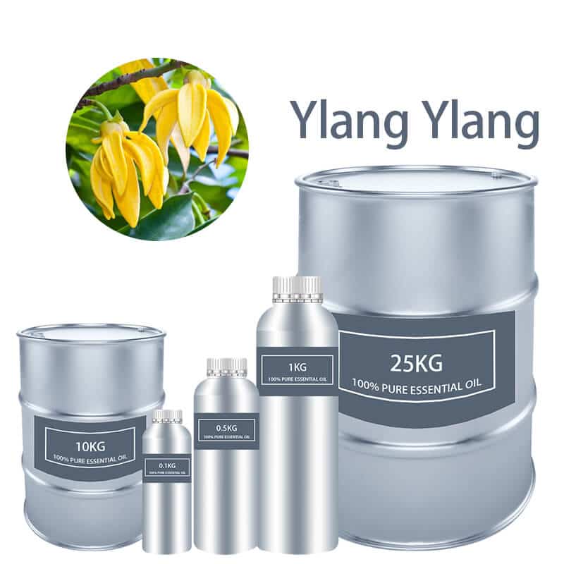 Ylang Ylang Essential Oil Essential Oils bulk wholesale Pure supplier distribution factory manufacturer for sale Cheap buy where to buy near me
