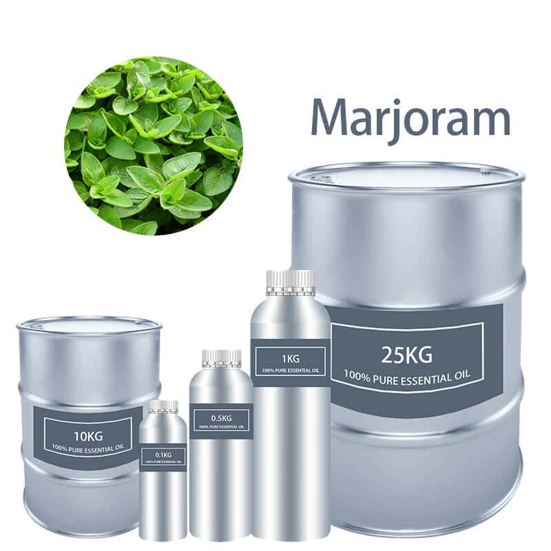 Marjoram Essential Oil Essential Oils bulk wholesale Pure supplier distribution factory manufacturer for sale Cheap buy where to buy near me