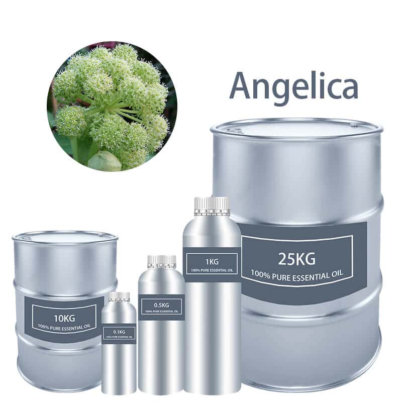 Angelica Essential Oil Essential Oils bulk wholesale Pure supplier distribution factory manufacturer for sale Cheap buy where to buy near me
