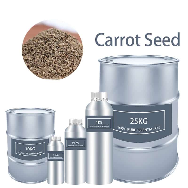 Carrot Seed Essential Oil Essential Oils bulk wholesale Pure supplier distribution factory manufacturer for sale Cheap buy where to buy near me