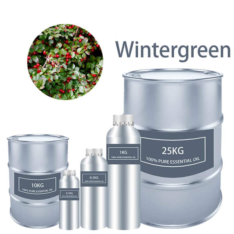 Wintergreen Essential Oil Essential Oils bulk wholesale Pure supplier distribution factory manufacturer for sale Cheap buy where to buy near me