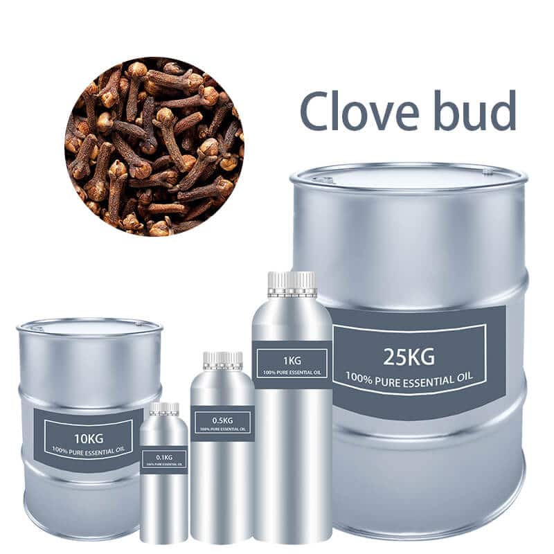 Clove Bud Essential Oil Essential Oils bulk wholesale Pure supplier distribution factory manufacturer for sale Cheap buy where to buy near me