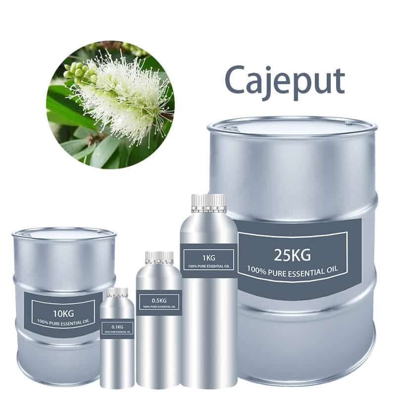 Cajeput Essential Oil Essential Oils bulk wholesale Pure supplier distribution factory manufacturer for sale Cheap buy where to buy near me