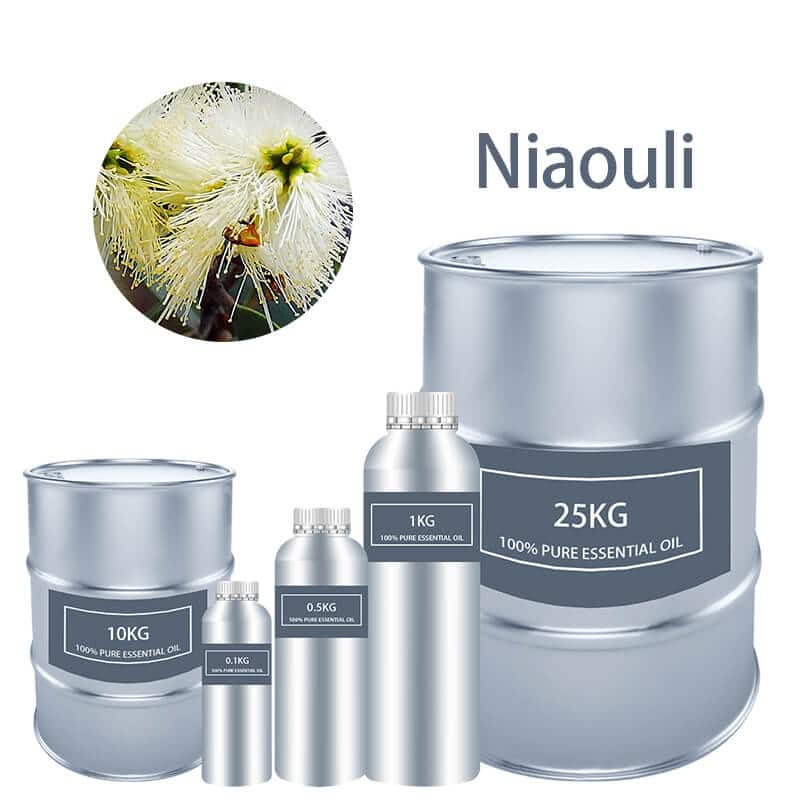 Niaouli Essential Oil Essential Oils bulk wholesale Pure supplier distribution factory manufacturer for sale Cheap buy where to buy near me