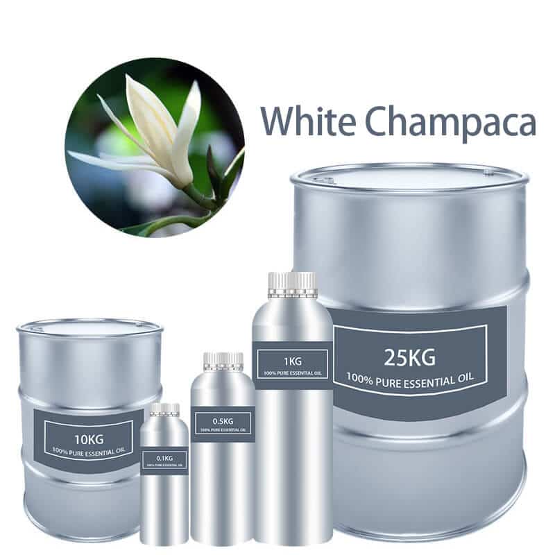 White Champaca Essential Oil Essential Oils bulk wholesale Pure supplier distribution factory manufacturer for sale Cheap buy where to buy near me