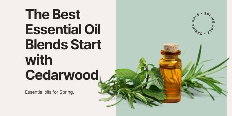 The Best Essential Oil Blends Start with Cedarwood